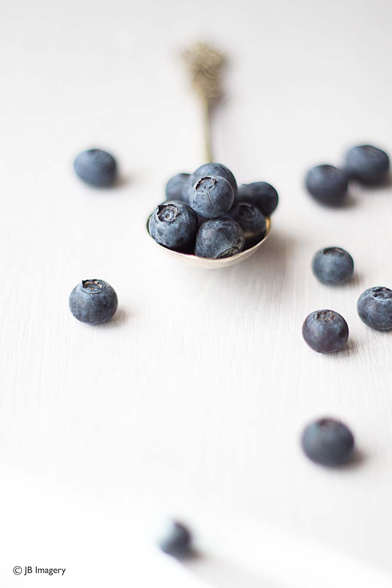 Blueberries new shoot w